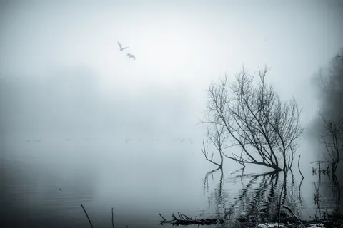 Sisli Minimal 4K Duvar Kağıdı · minimal · 3840×2560
