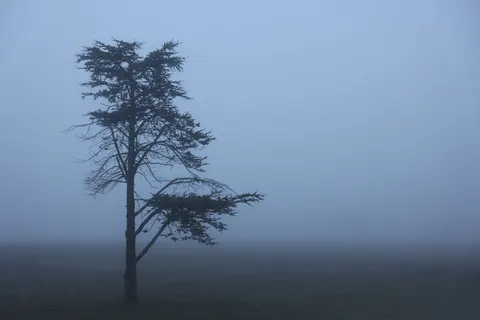 والپیپر مینیمال مه‌آلود با کیفیت 4K · minimal · 3840×2561