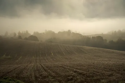 والپیپر مینیمال مه‌آلود با کیفیت 4K · minimal · 3840×2560