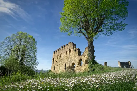 Medieval Castle 4K Wallpaper · architecture · 3840×2553