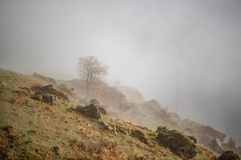 Sisli Minimal 4K Duvar Kağıdı · minimal · 3840×2563