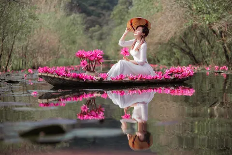 Hình nền Hoa sen 4K · flowers · 3840×2560