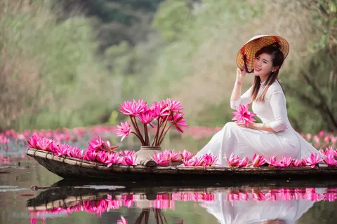 Lotus 4K Wallpaper · flowers · 3840×2560