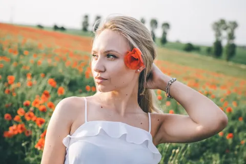 Poppy Field 4K Wallpaper · flowers · 3840×2560