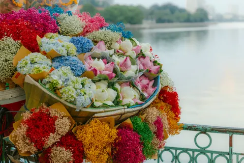 Hydrangea 4K Wallpaper · flowers · 3840×2560