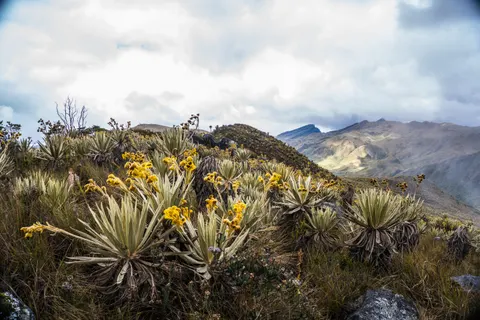 The Andes 4K Wallpaper · mountains · 3840×2560