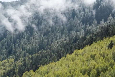 Foggy Valley 4K Wallpaper · mountains · 3840×2560