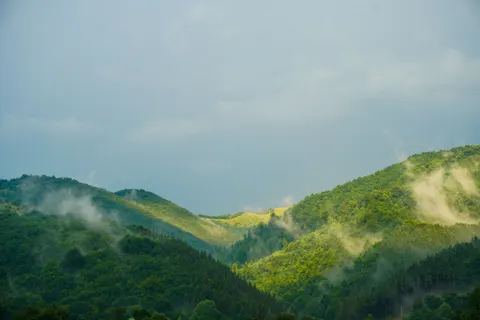 Foggy Valley 4K Wallpaper · mountains · 3840×2560