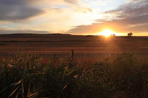 Landelijk Veld 4K-achtergrond · nature · 3840×2560