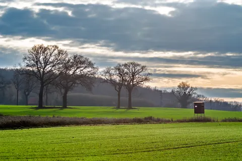 Landelijk Veld 4K-achtergrond · nature · 3840×2560