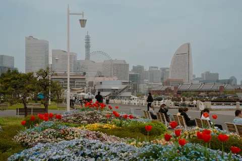Tokyo by Day 4K Wallpaper · city · 3840×2560