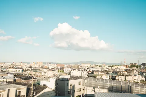 Tokyo by Day 4K Wallpaper · city · 3840×2560