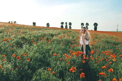 Poppy Field 4K Wallpaper · flowers · 3840×2560