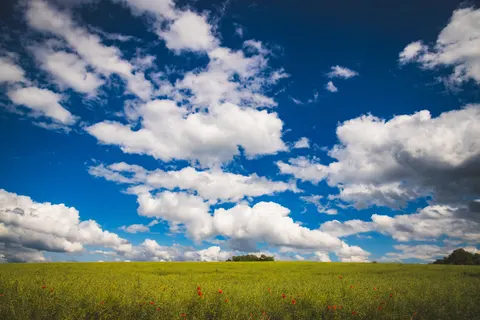 Poppy Field 4K Wallpaper · flowers · 3840×2560