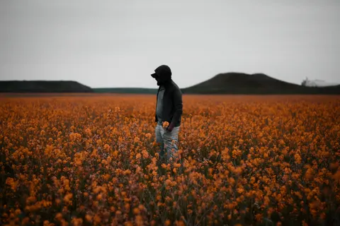 Poppy Field 4K Wallpaper · flowers · 3840×2560