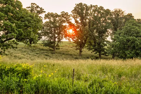 Landelijk Veld 4K-achtergrond · nature · 3840×2560