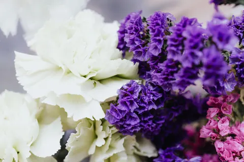 Hydrangea 4K Wallpaper · flowers · 3840×2560