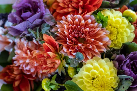 Dahlia 4K Wallpaper · flowers · 3840×2560
