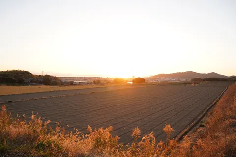 Wallpaper Ladang Pedesaan 4K · nature · 3840×2560