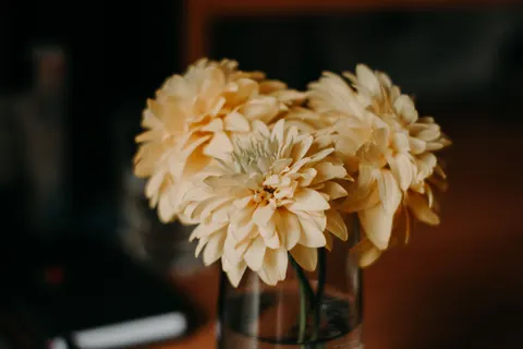Dahlia 4K Wallpaper · flowers · 3840×2560