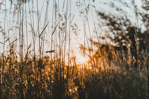 Landelijk Veld 4K-achtergrond · nature · 3840×2560