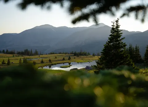 안개 낀 산호수 4K 배경화면 · nature · 3840×2778