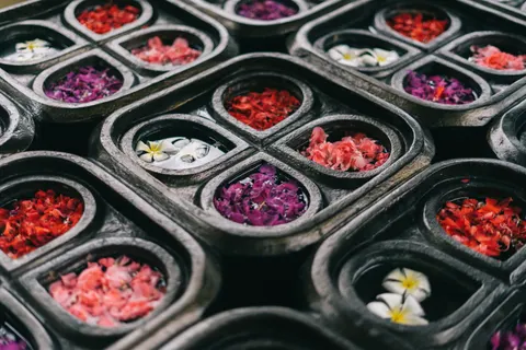 चंपा 4K वॉलपेपर · flowers · 3840×2560