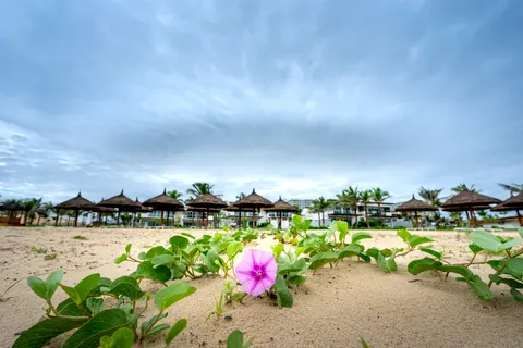 चंपा 4K वॉलपेपर · flowers · 3840×2560