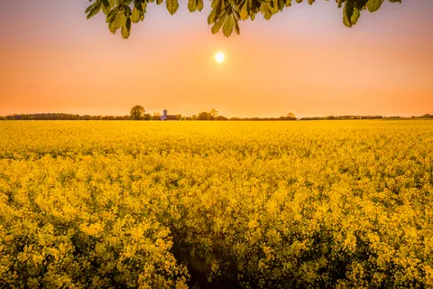 Landelijk Veld 4K-achtergrond · nature · 3840×2560