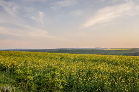 Landelijk Veld 4K-achtergrond · nature · 3840×2560