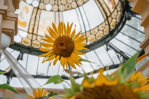 Glass Dome 4K Wallpaper · architecture · 3840×2560