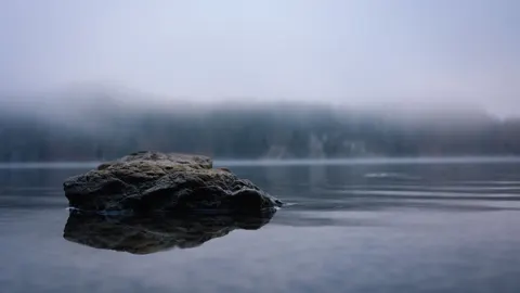 안개 낀 산호수 4K 배경화면 · nature · 3840×2160