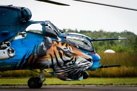 Tiger 4K Wallpaper · animals · 3840×2561
