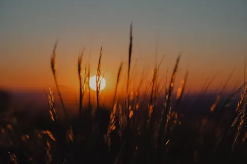 Landelijk Veld 4K-achtergrond · nature · 3840×2560