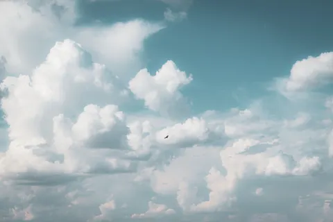 والپیپر عقاب با کیفیت 4K · animals · 3840×2560