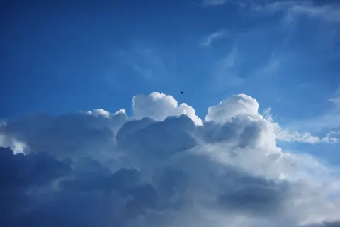 Eagle 4K Wallpaper · animals · 3840×2560
