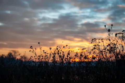 Landelijk Veld 4K-achtergrond · nature · 3840×2560