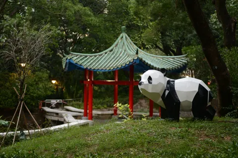 Panda 4K Wallpaper · animals · 3840×2563