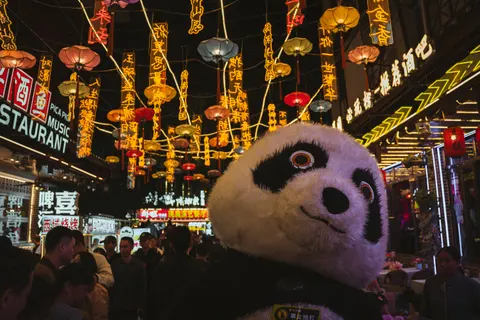 Panda 4K Wallpaper · animals · 3840×2560