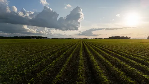 Landelijk Veld 4K-achtergrond · nature · 3840×2160
