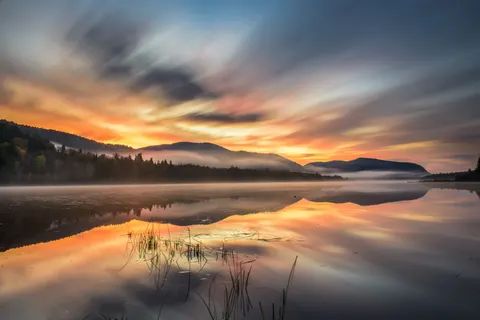 안개 낀 산호수 4K 배경화면 · nature · 3840×2563