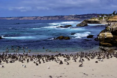 Penguins 4K Wallpaper · animals · 3840×2560