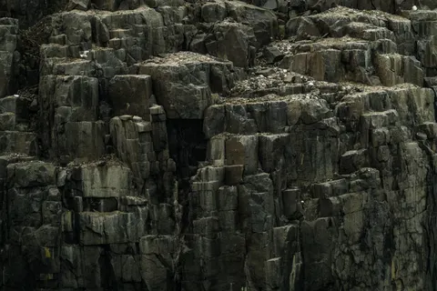 पेंगुइन 4K वॉलपेपर · animals · 3840×2560