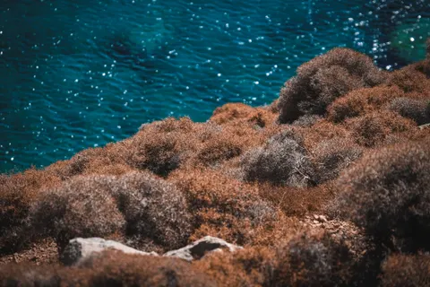 خلفية ساحل فيروزي بدقة 4K · ocean · 3840×2560