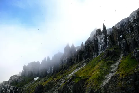 Papel de parede Pinguins 4K · animals · 3840×2560