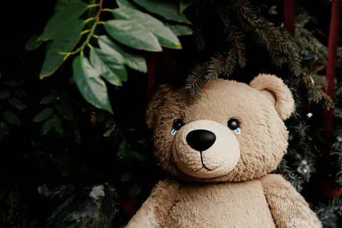 Wallpaper Beruang Kutub 4K · animals · 3840×2560