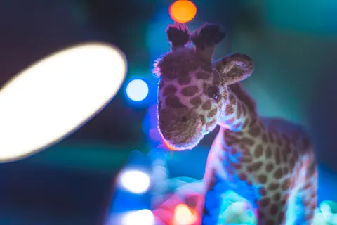 Zürafa 4K Duvar Kağıdı · animals · 3840×2560