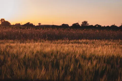 Landelijk Veld 4K-achtergrond · nature · 3840×2560