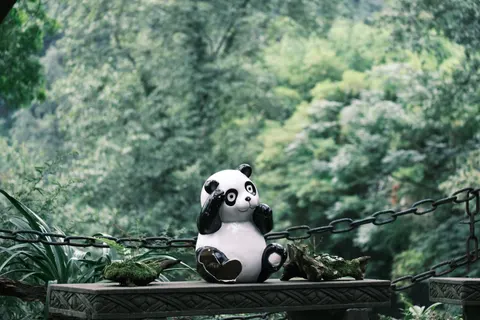 लाल पांडा 4K वॉलपेपर · animals · 3840×2560
