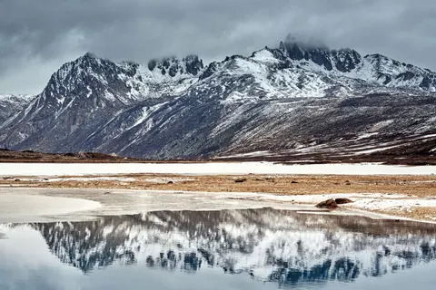 والپیپر پلنگ برفی با کیفیت 4K · animals · 3840×2560